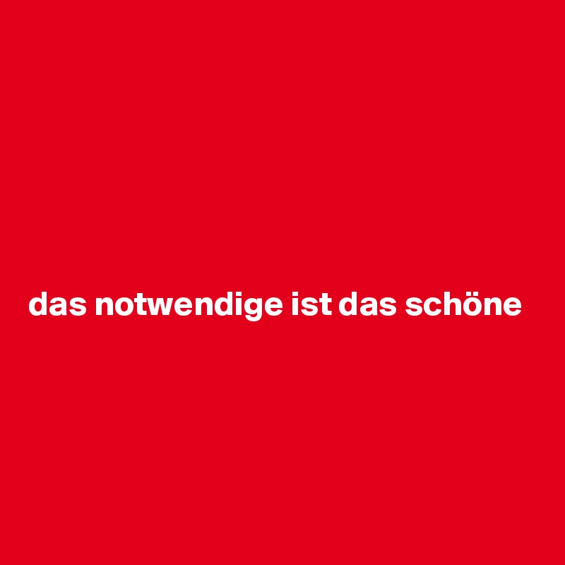 






das notwendige ist das schöne




