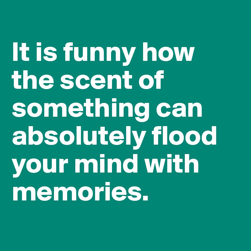 
It is funny how the scent of something can absolutely flood your mind with memories.
