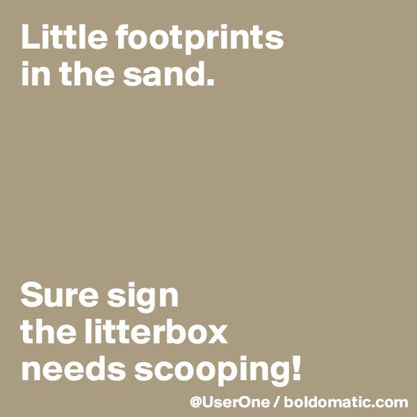 Little footprints
in the sand.





Sure sign
the litterbox
needs scooping!