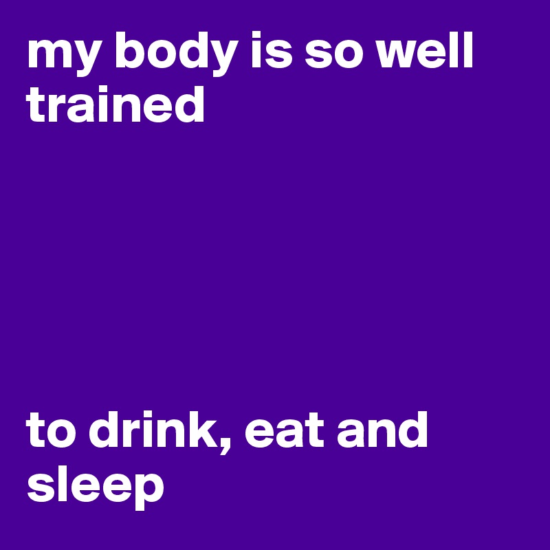 my body is so well trained





to drink, eat and sleep