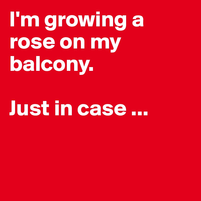 I'm growing a rose on my balcony. 

Just in case ...


