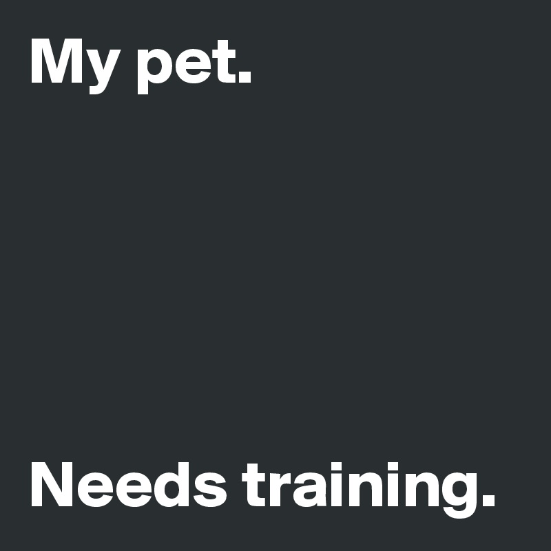 My pet.





Needs training.