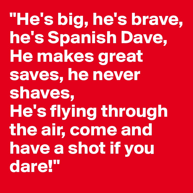 "He's big, he's brave, he's Spanish Dave,
He makes great saves, he never shaves,
He's flying through the air, come and have a shot if you dare!"