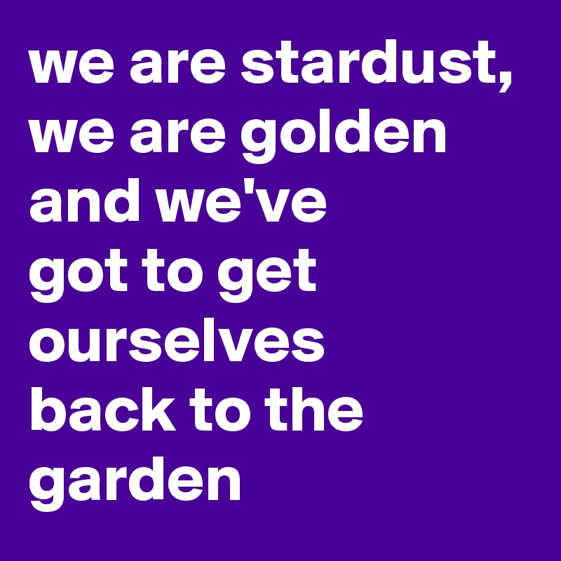 we are stardust,
we are golden
and we've
got to get ourselves
back to the garden