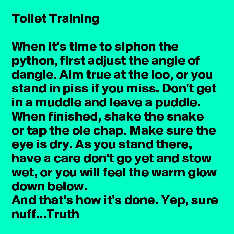 Toilet Training

When it's time to siphon the python, first adjust the angle of dangle. Aim true at the loo, or you stand in piss if you miss. Don't get in a muddle and leave a puddle. When finished, shake the snake  or tap the ole chap. Make sure the eye is dry. As you stand there, have a care don't go yet and stow wet, or you will feel the warm glow down below.
And that's how it's done. Yep, sure nuff...Truth