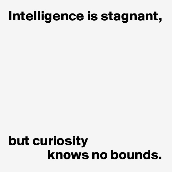 Intelligence is stagnant,








but curiosity
              knows no bounds. 