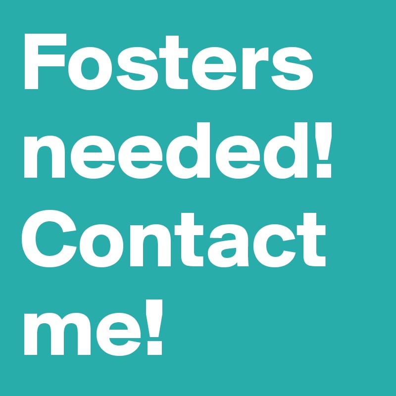 Fosters needed! Contact me! 