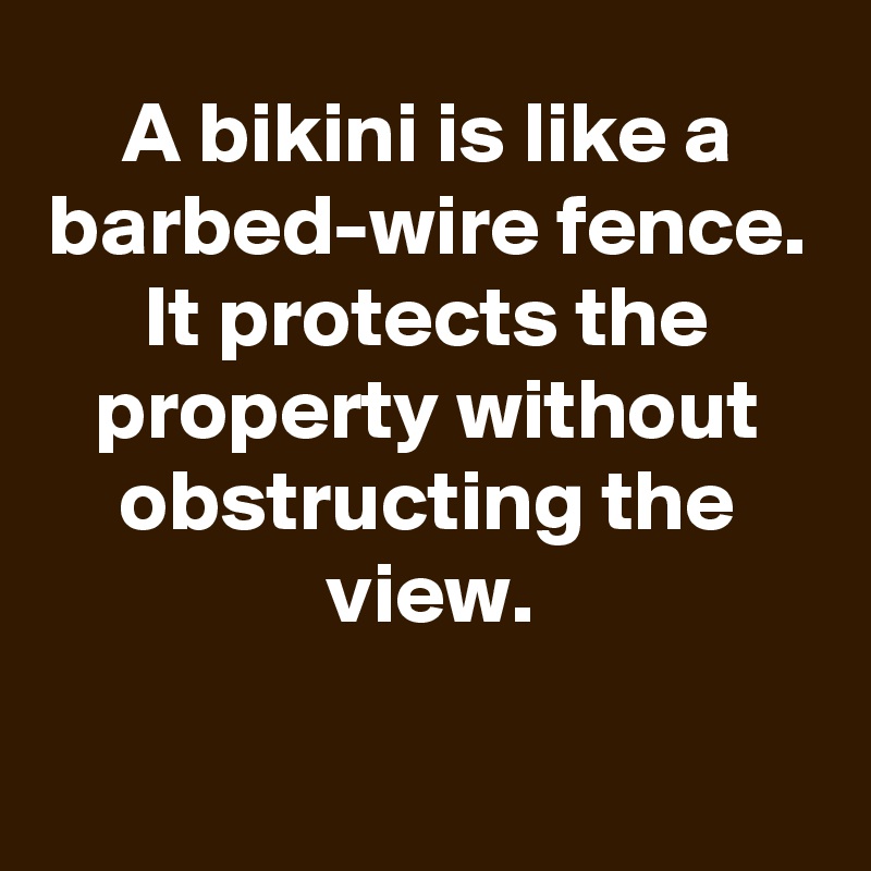 A bikini is like a barbed-wire fence. It protects the property without obstructing the view.

