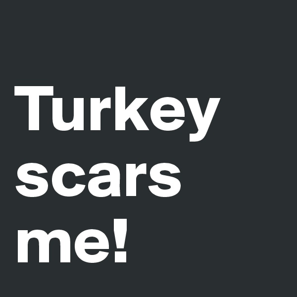 
Turkey scars me! 