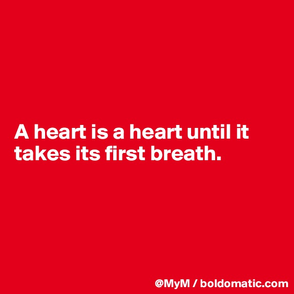 




A heart is a heart until it takes its first breath.




