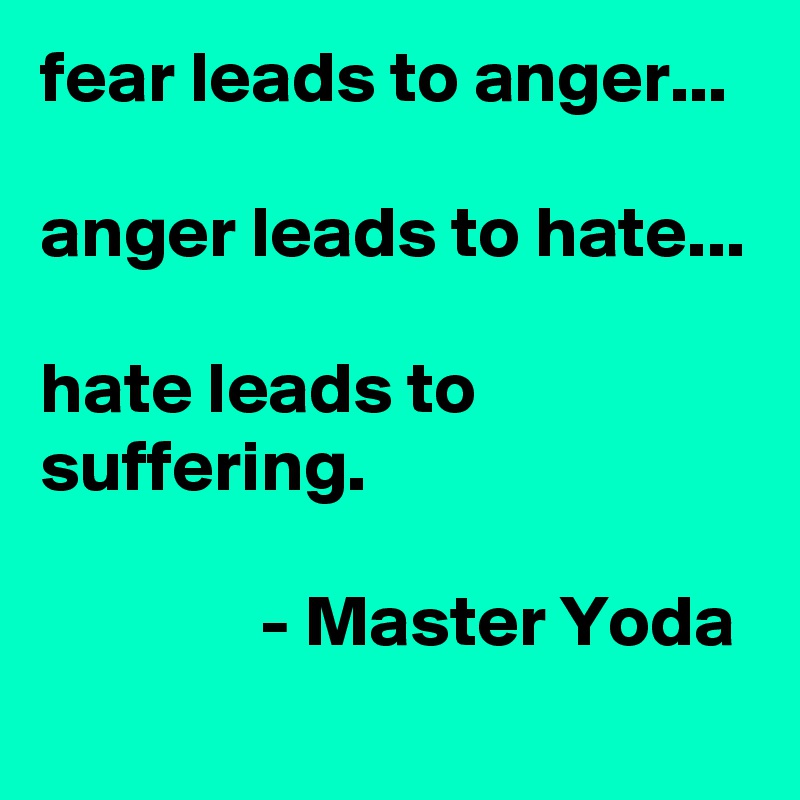 fear leads to anger...

anger leads to hate...

hate leads to suffering.

               - Master Yoda