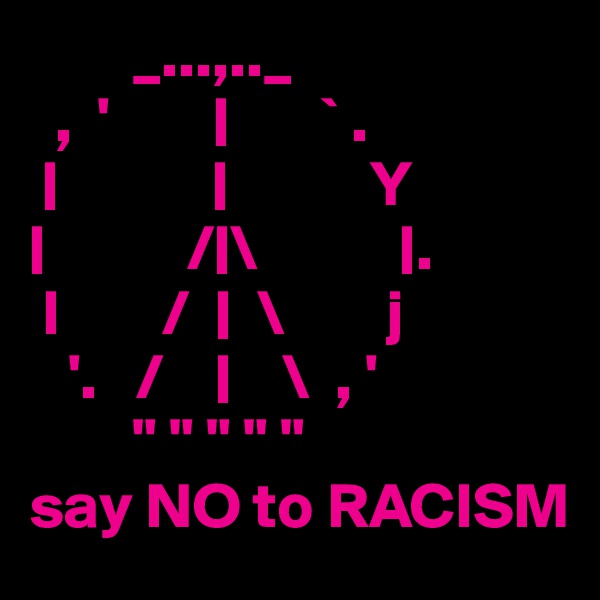         _...,.._
  ,  '        |       ` .
 |            |           Y
|           /|\           |.
 l        /  |  \        j
   '.   /    |    \  , '
        " " " " "
say NO to RACISM