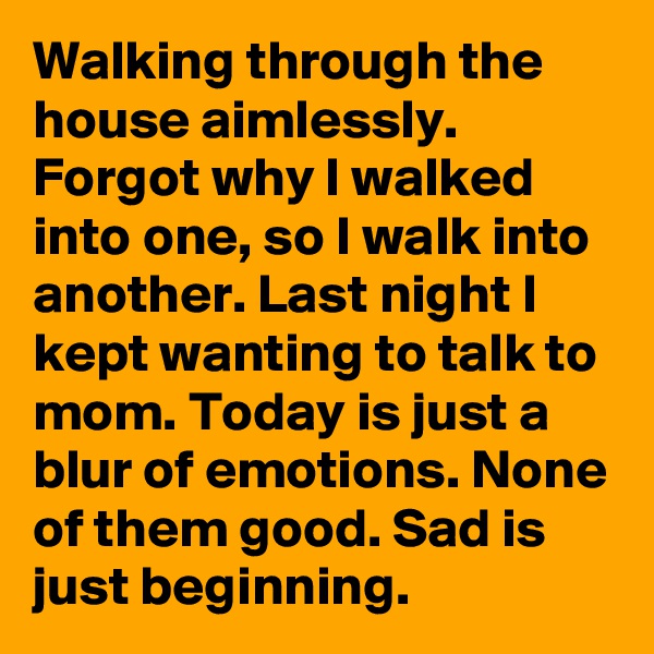Walking through the house aimlessly. Forgot why I walked into one, so I walk into another. Last night I kept wanting to talk to mom. Today is just a blur of emotions. None of them good. Sad is just beginning.