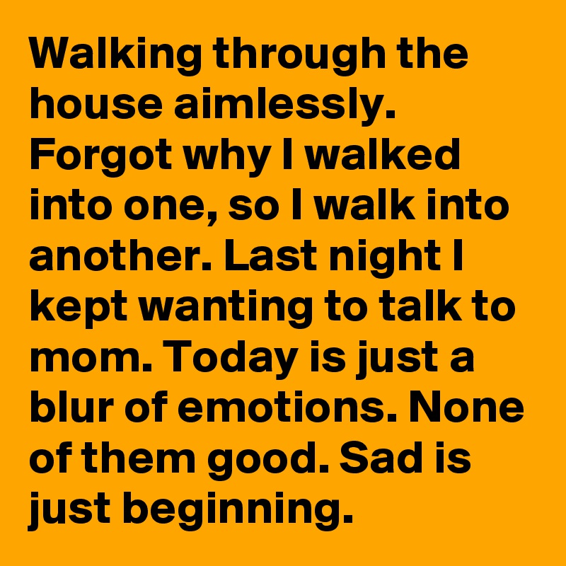 Walking through the house aimlessly. Forgot why I walked into one, so I walk into another. Last night I kept wanting to talk to mom. Today is just a blur of emotions. None of them good. Sad is just beginning.