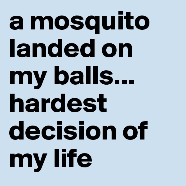 a mosquito landed on my balls... hardest decision of my life