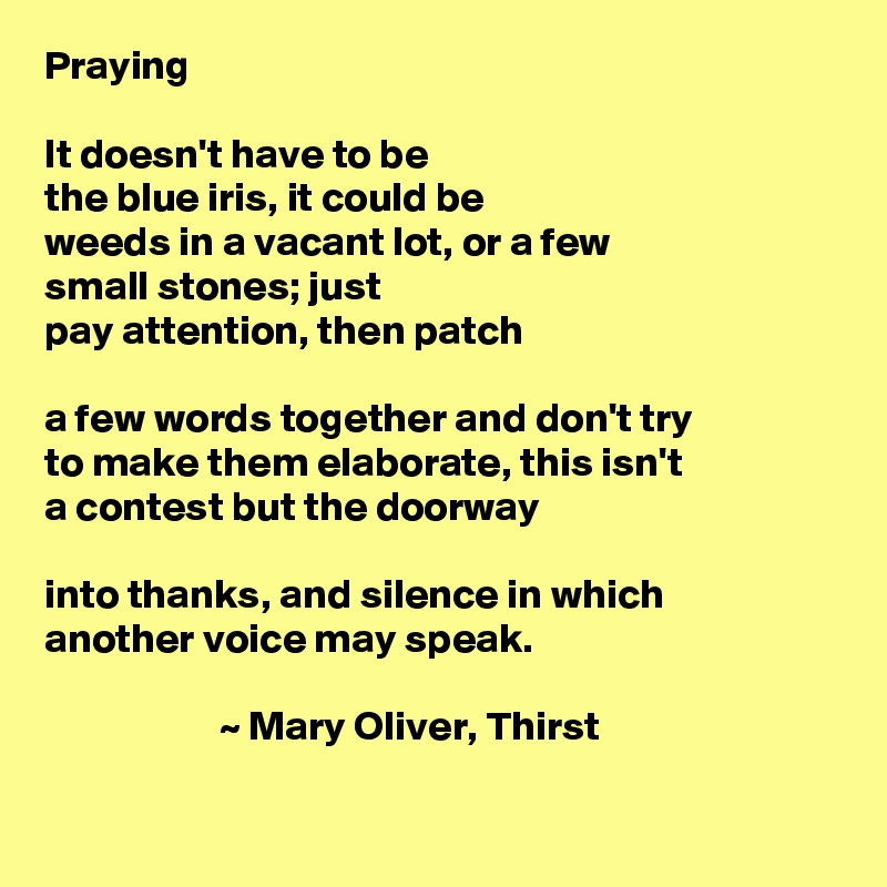 Praying

It doesn't have to be 
the blue iris, it could be
weeds in a vacant lot, or a few
small stones; just
pay attention, then patch

a few words together and don't try
to make them elaborate, this isn't
a contest but the doorway

into thanks, and silence in which
another voice may speak.

                     ~ Mary Oliver, Thirst


