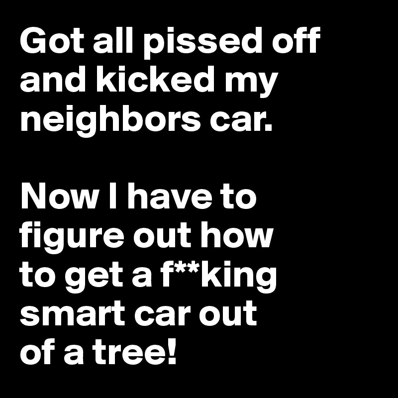 Got all pissed off  and kicked my neighbors car.  

Now I have to 
figure out how 
to get a f**king smart car out 
of a tree!
