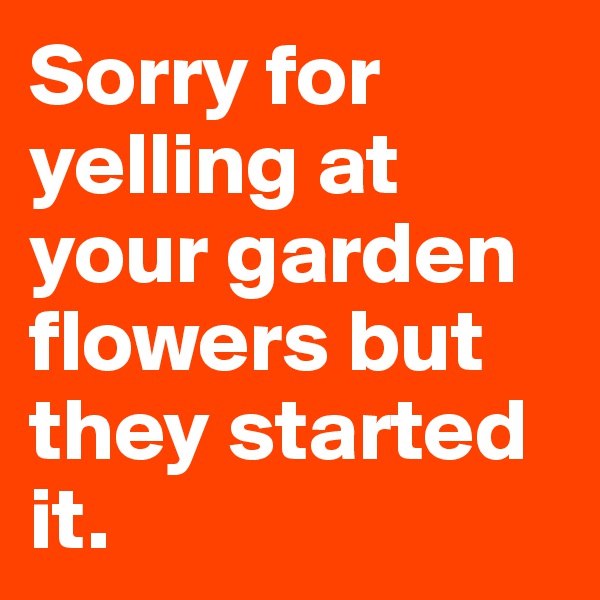Sorry for yelling at your garden flowers but they started it. 