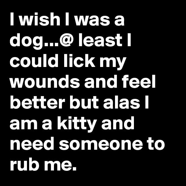 I wish I was a dog...@ least I could lick my wounds and feel better but alas I am a kitty and need someone to rub me.