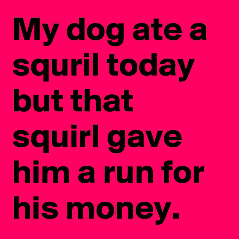 My dog ate a squril today 
but that squirl gave him a run for his money.