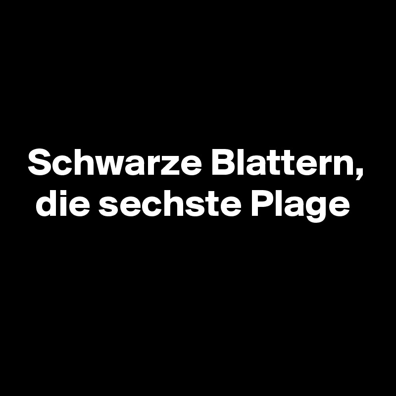 


 Schwarze Blattern,
  die sechste Plage


