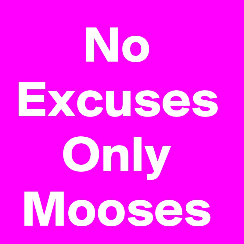 No Excuses
Only Mooses