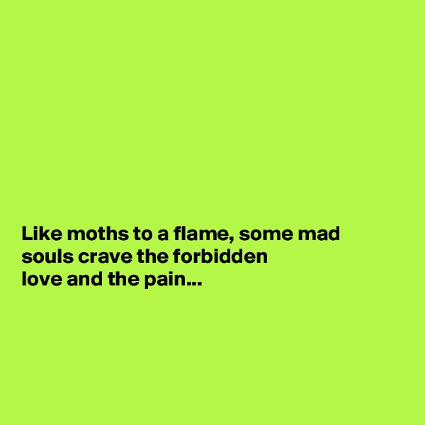 








Like moths to a flame, some mad
souls crave the forbidden
love and the pain...




