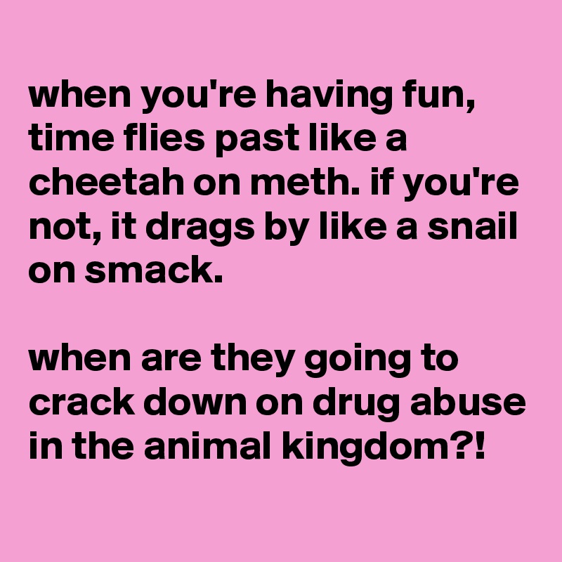 
when you're having fun, time flies past like a cheetah on meth. if you're not, it drags by like a snail on smack.

when are they going to crack down on drug abuse in the animal kingdom?!
