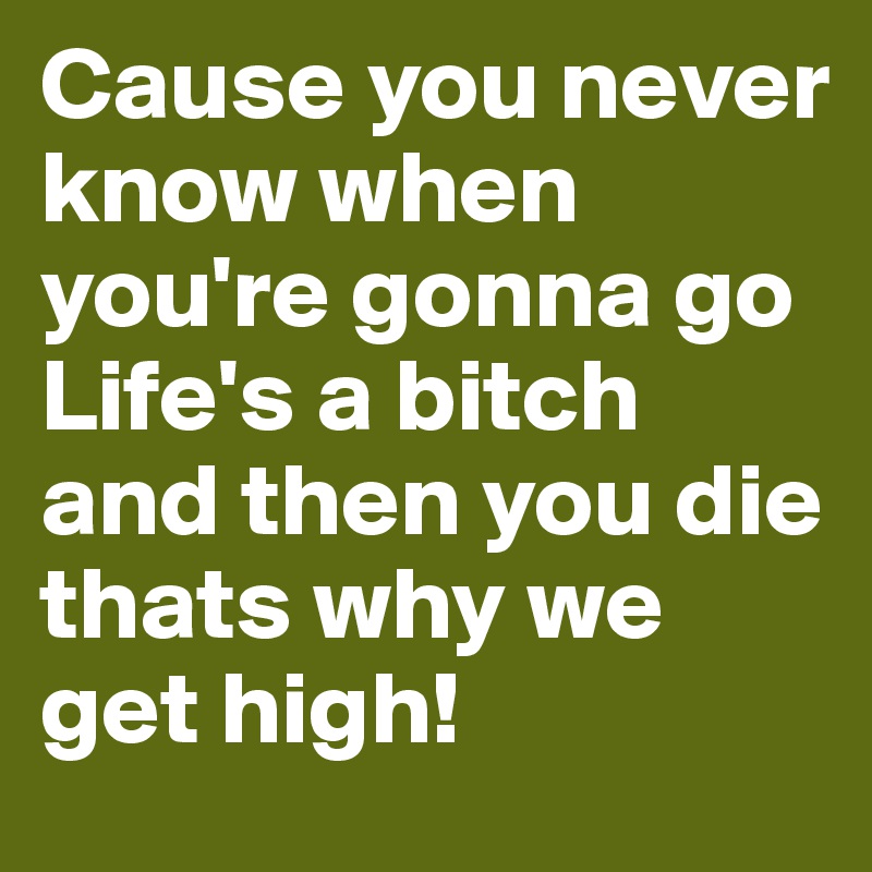 Cause you never know when you're gonna go
Life's a bitch and then you die thats why we get high! 