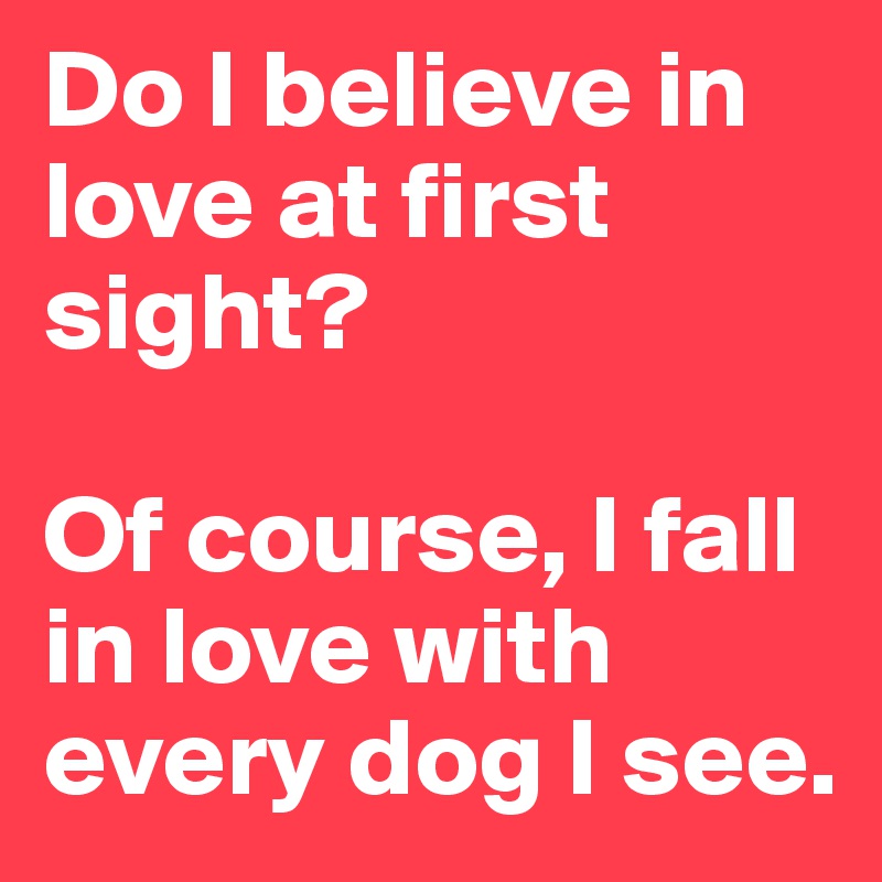 Do I believe in love at first sight? 

Of course, I fall in love with every dog I see. 