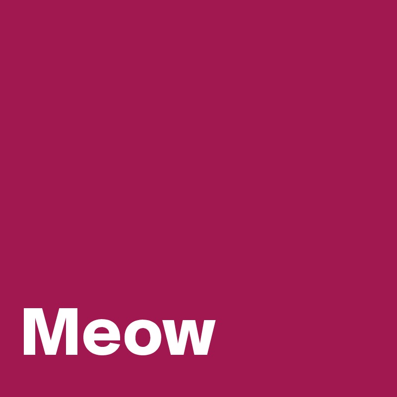 



Meow