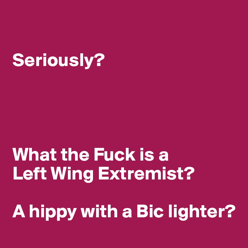 

Seriously?  




What the Fuck is a 
Left Wing Extremist?

A hippy with a Bic lighter?