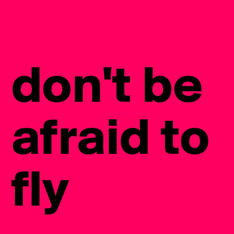         
don't be afraid to       fly