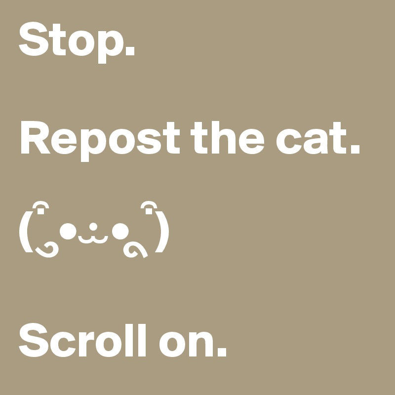 Stop. 

Repost the cat. 

( ? ?•·? • ? ?)

Scroll on. 