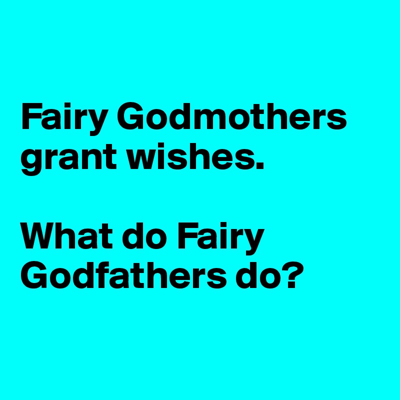 

Fairy Godmothers grant wishes. 

What do Fairy Godfathers do?

