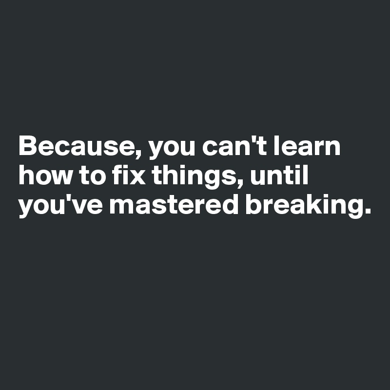 



Because, you can't learn how to fix things, until you've mastered breaking.



