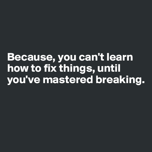 



Because, you can't learn how to fix things, until you've mastered breaking.



