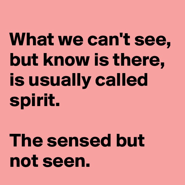 
What we can't see, 
but know is there, is usually called spirit.

The sensed but not seen.