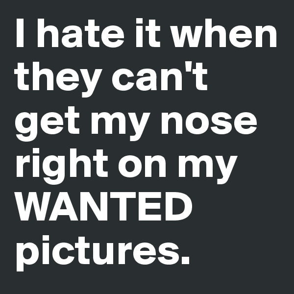 I hate it when they can't get my nose right on my WANTED pictures.