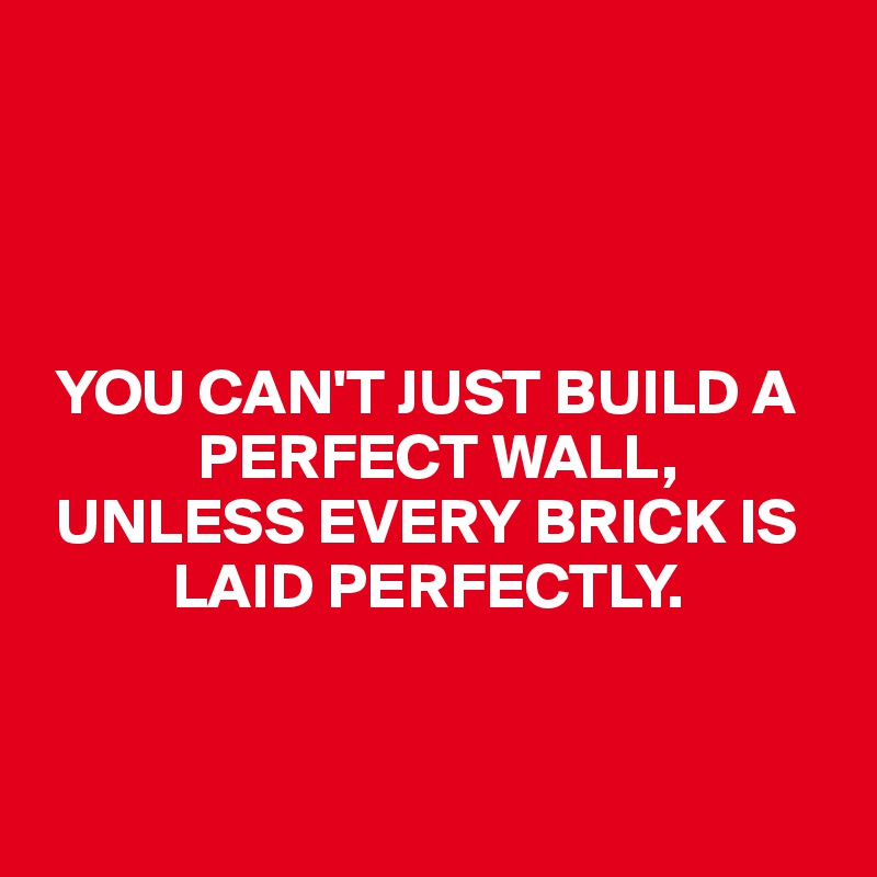 




 YOU CAN'T JUST BUILD A    
            PERFECT WALL, 
 UNLESS EVERY BRICK IS 
          LAID PERFECTLY. 


