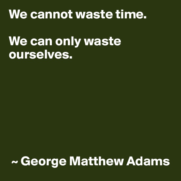 We cannot waste time.

We can only waste ourselves.







 ~ George Matthew Adams
