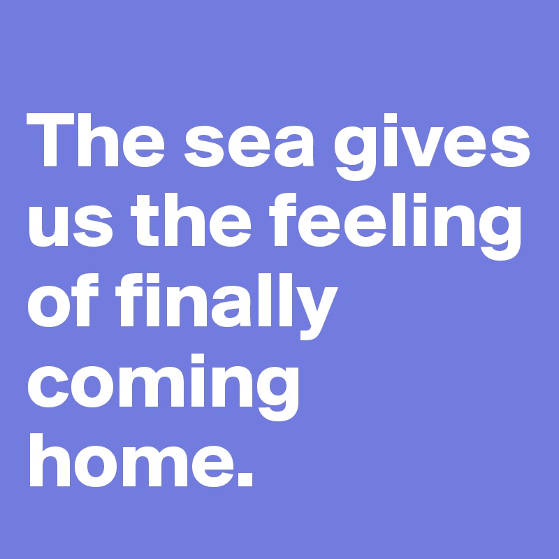 
The sea gives us the feeling of finally coming home.