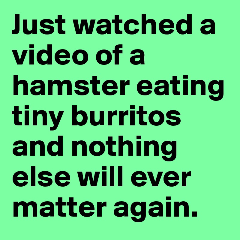 Just watched a video of a hamster eating tiny burritos and nothing else will ever matter again.