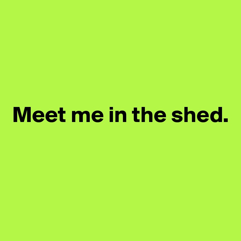 



Meet me in the shed.



