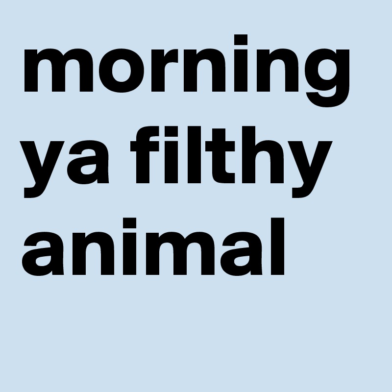 morning
ya filthy animal