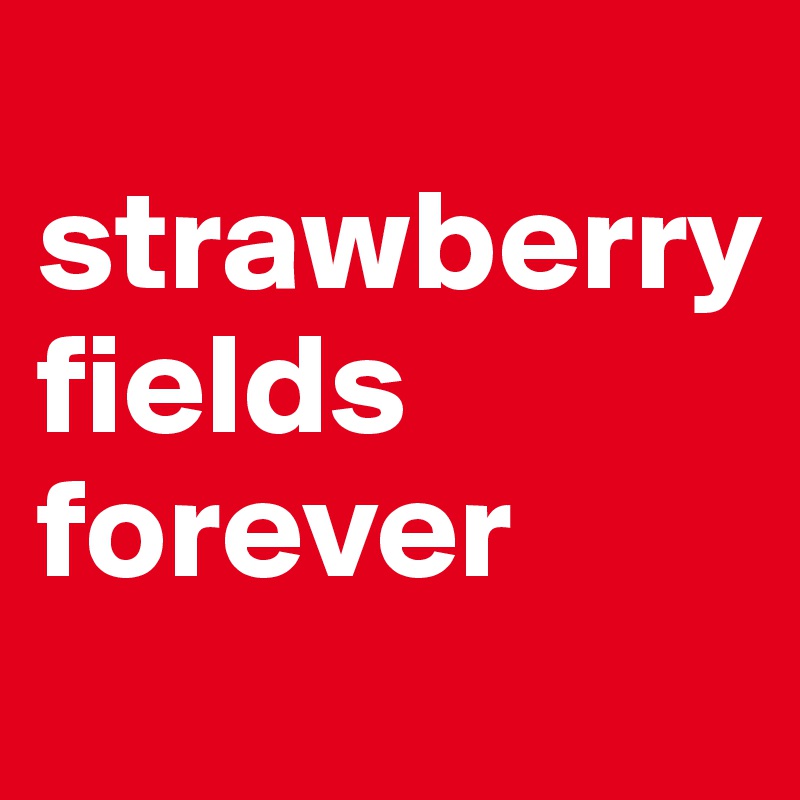 
strawberry 
fields forever
