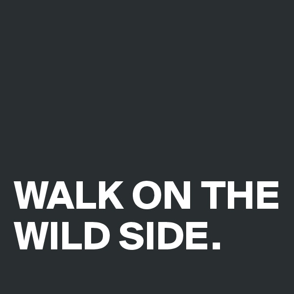 



WALK ON THE WILD SIDE.
