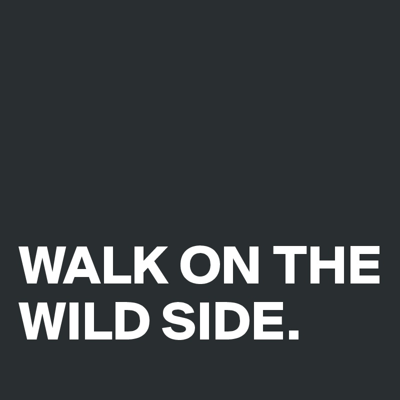 



WALK ON THE WILD SIDE.
