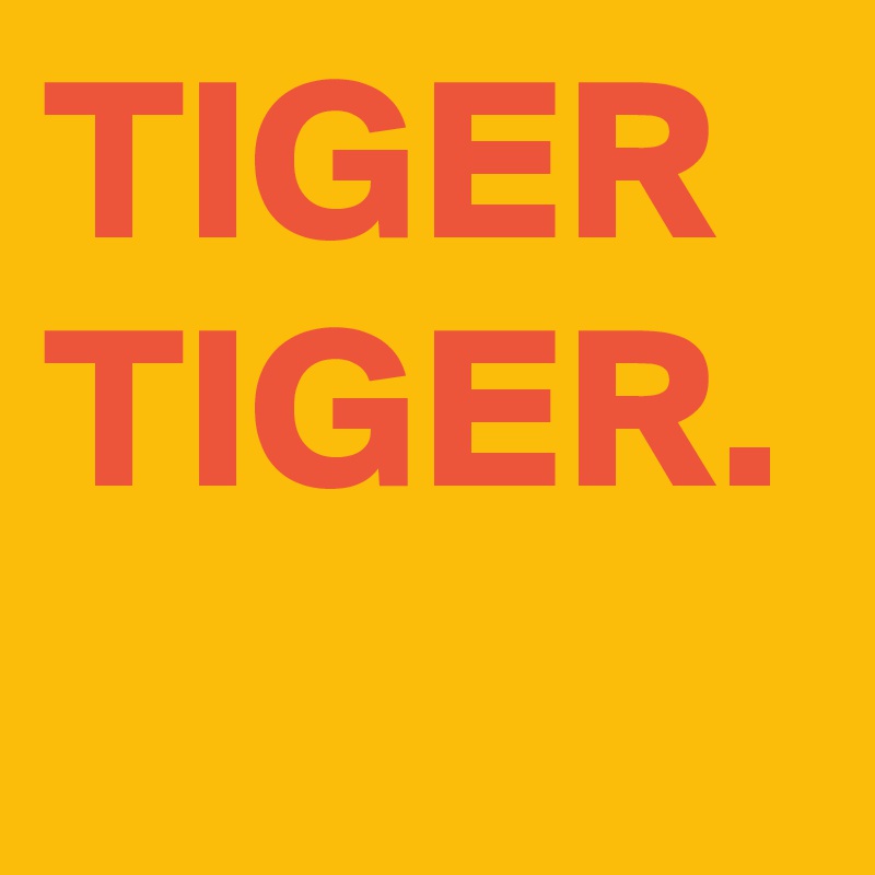 TIGER TIGER.   