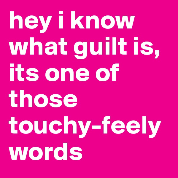 hey i know what guilt is, its one of those touchy-feely words